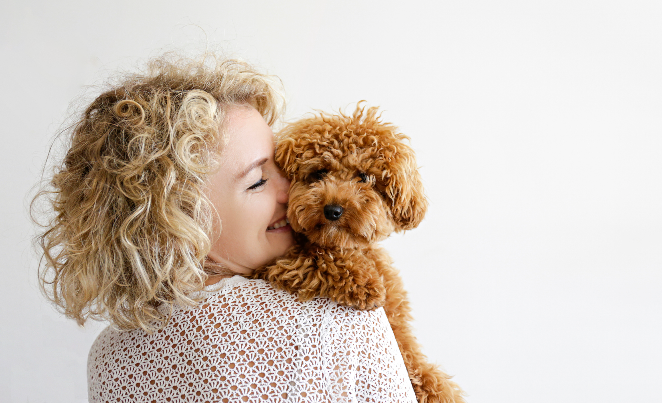 Pet Concierge Service