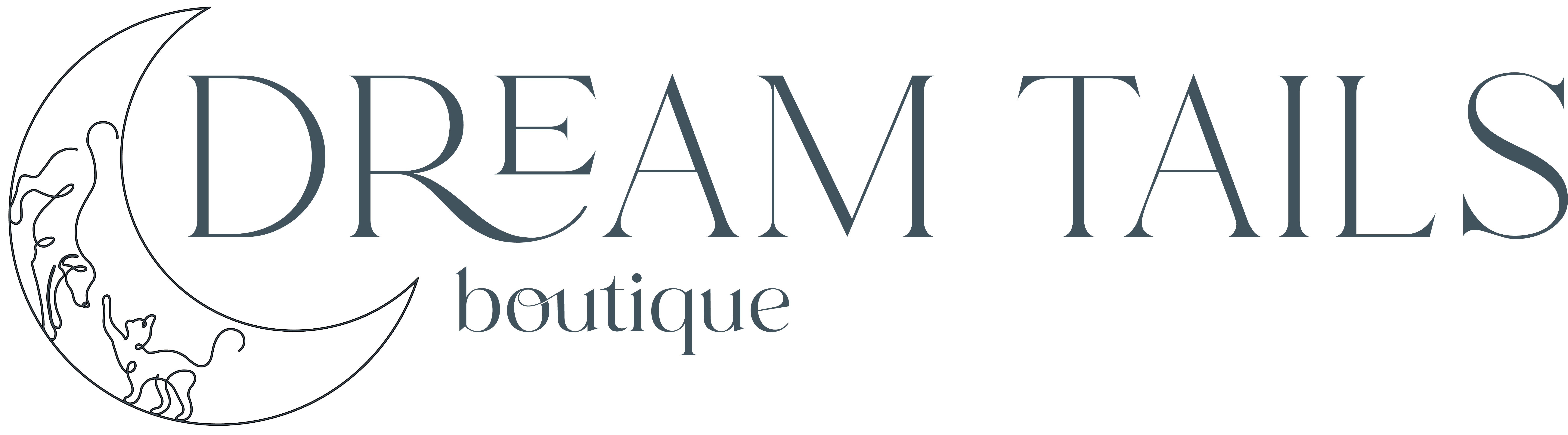 Dream Tails Sarasota, Florida Logo