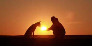 Autumn Is Definitely Best Season For Fur Baby Photos