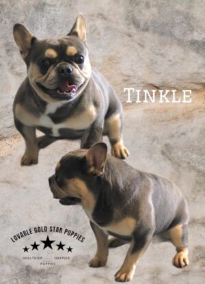 Tinkle