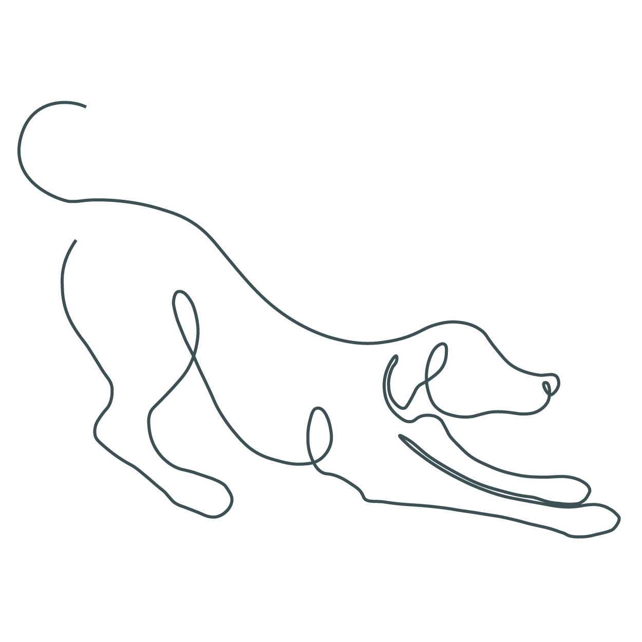 Puppy icon