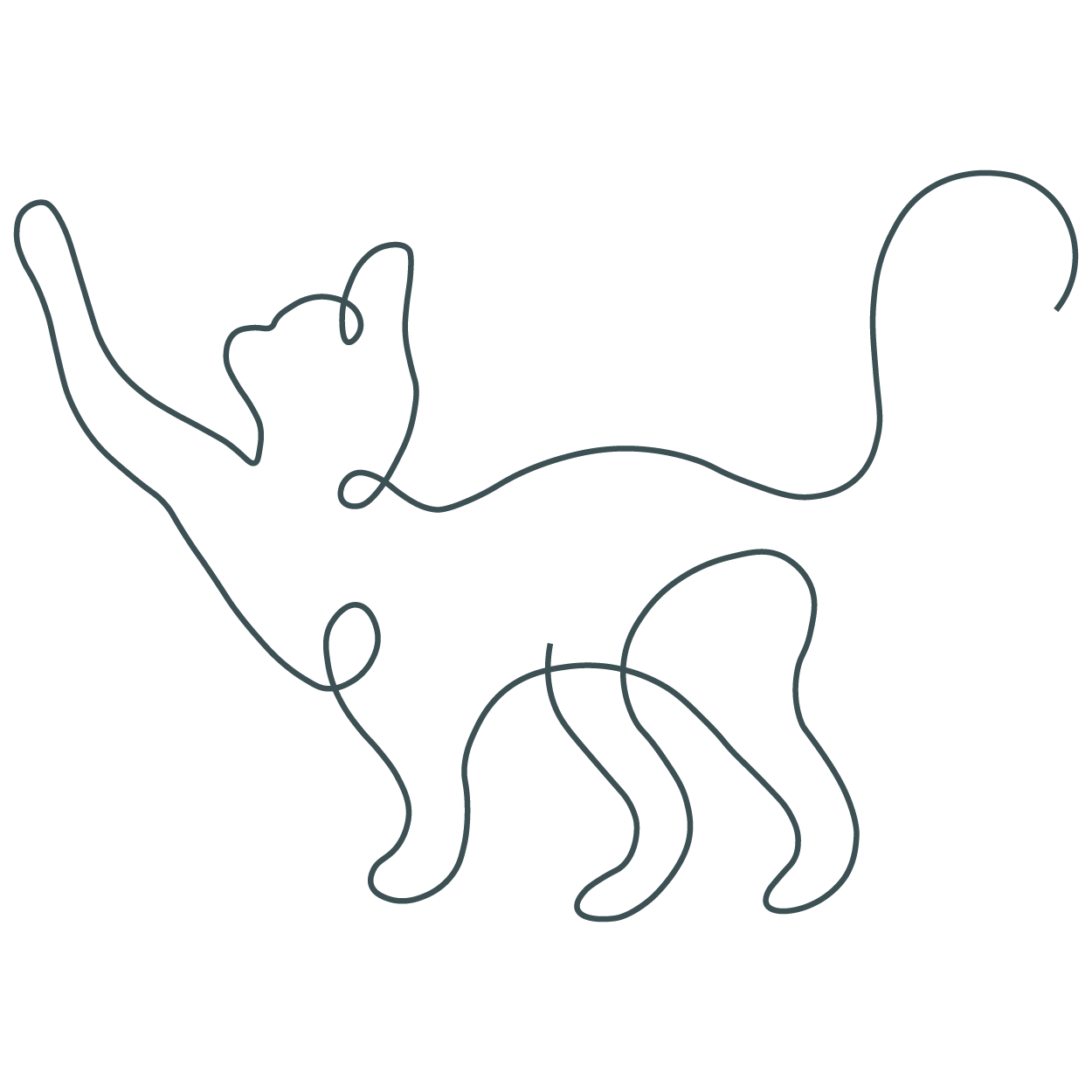 Kitten icon