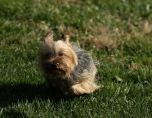 Paradise Valley Calvin