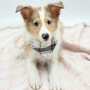 Jon Snow — photo 1