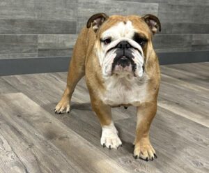 Love Wrinkles Onna