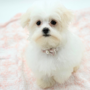Lexi — photo 3